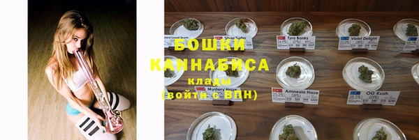 дурь Вяземский