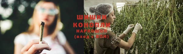 дурь Вяземский