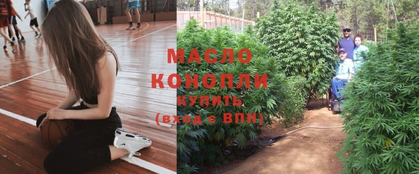 дурь Вяземский