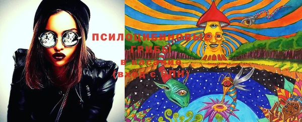 дурь Вяземский