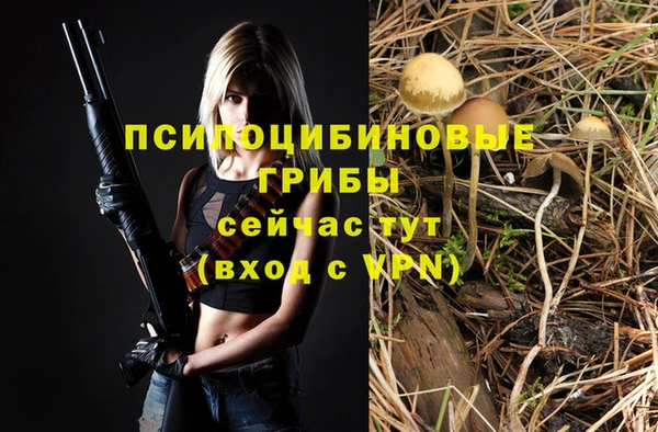 первитин Вязьма