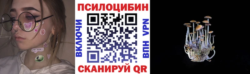 kraken зеркало  Бирск  Псилоцибиновые грибы ЛСД  сколько стоит 