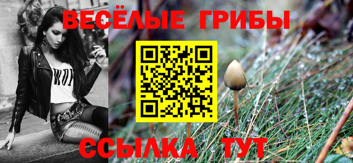 Псилоцибиновые грибы ЛСД Бирск