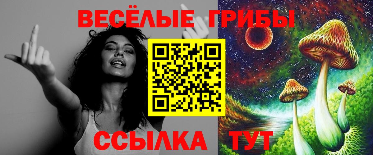 Галлюциногенные грибы Cubensis  Вход с VPN  Бирск 